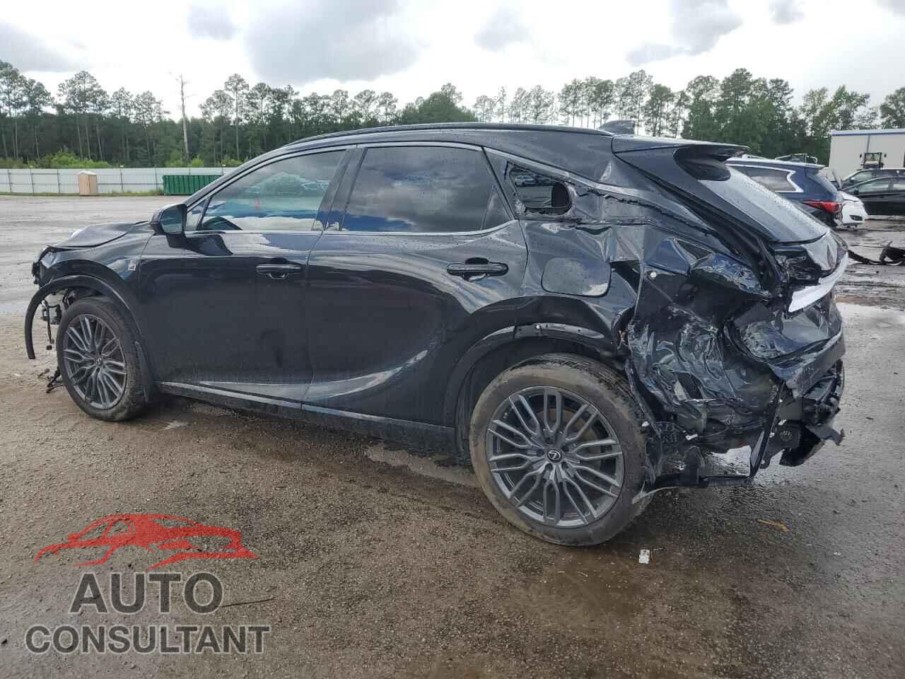 LEXUS RX 500H F 2023 - 2T2BCMEA5PC006266