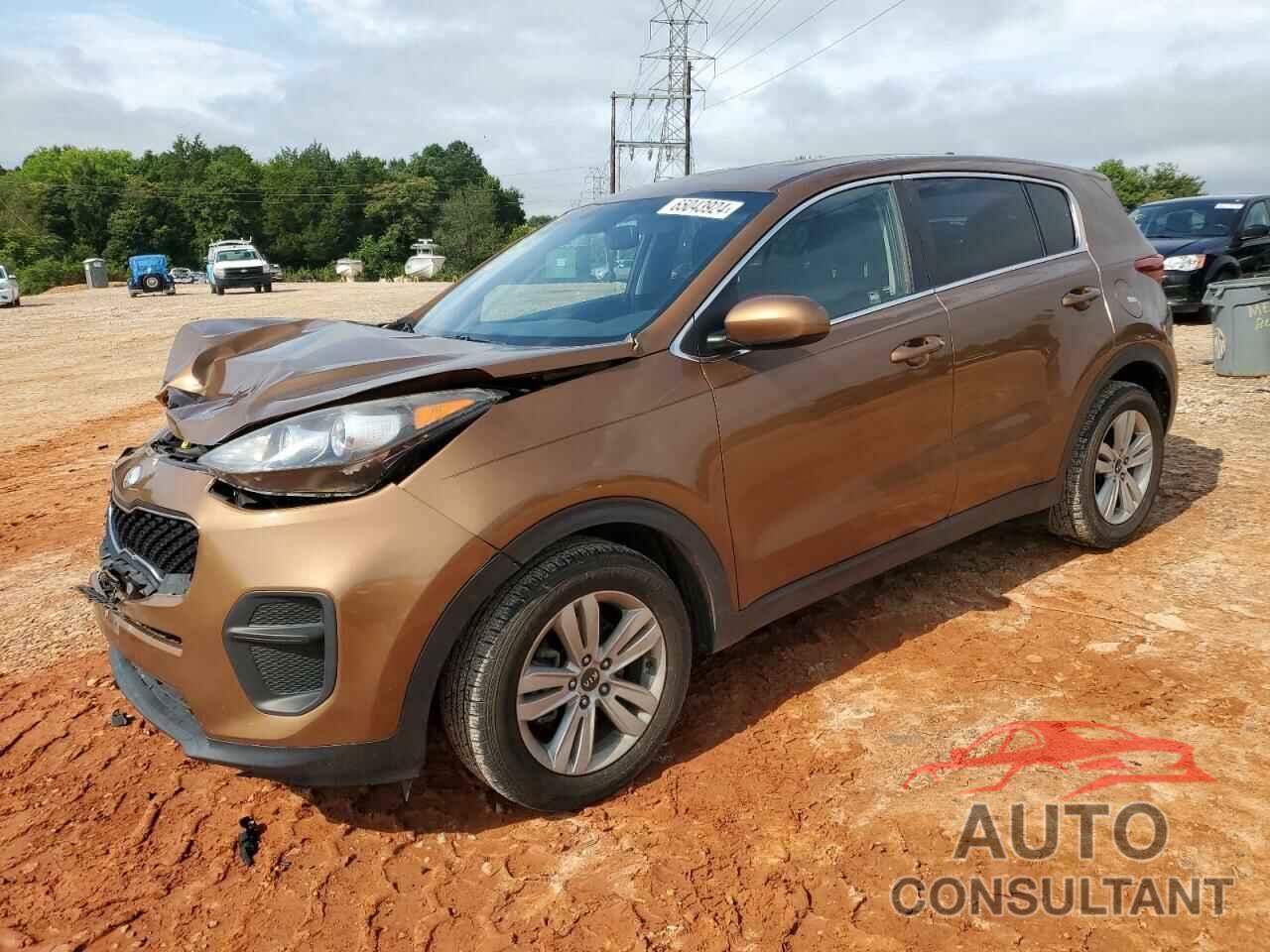 KIA SPORTAGE 2019 - KNDPM3AC0K7562696