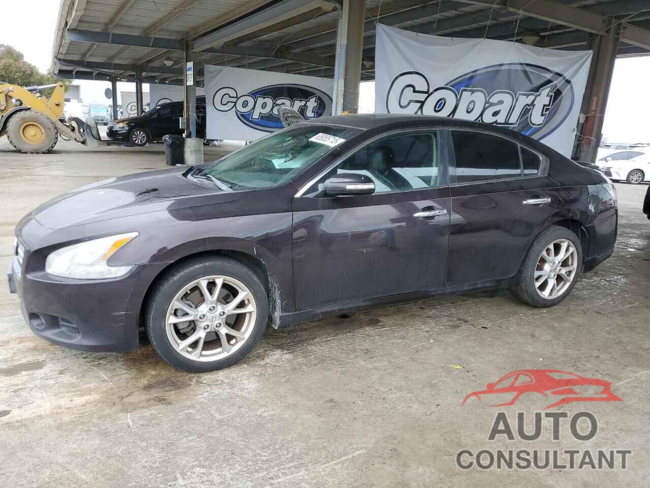 NISSAN MAXIMA 2013 - 1N4AA5AP9DC847555
