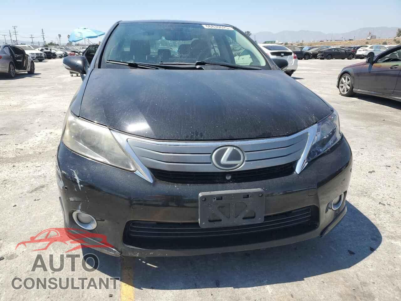 LEXUS HS 2010 - JTHBB1BA5A2013653