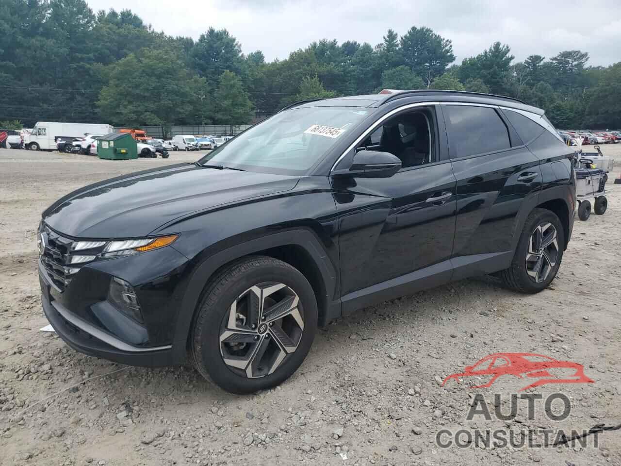 HYUNDAI TUCSON 2024 - KM8JCCD15RU202088