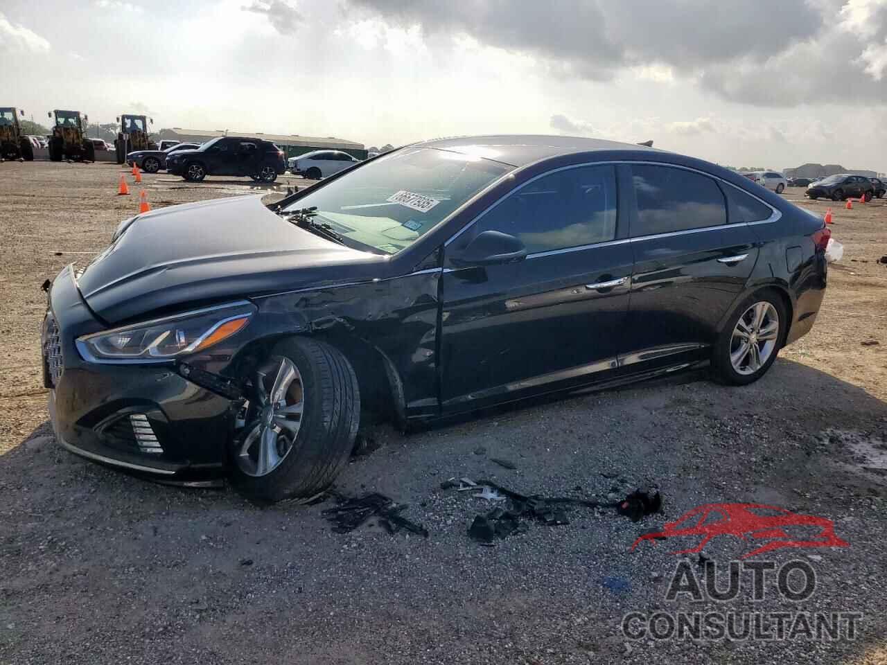 HYUNDAI SONATA 2019 - 5NPE34AF5KH813251