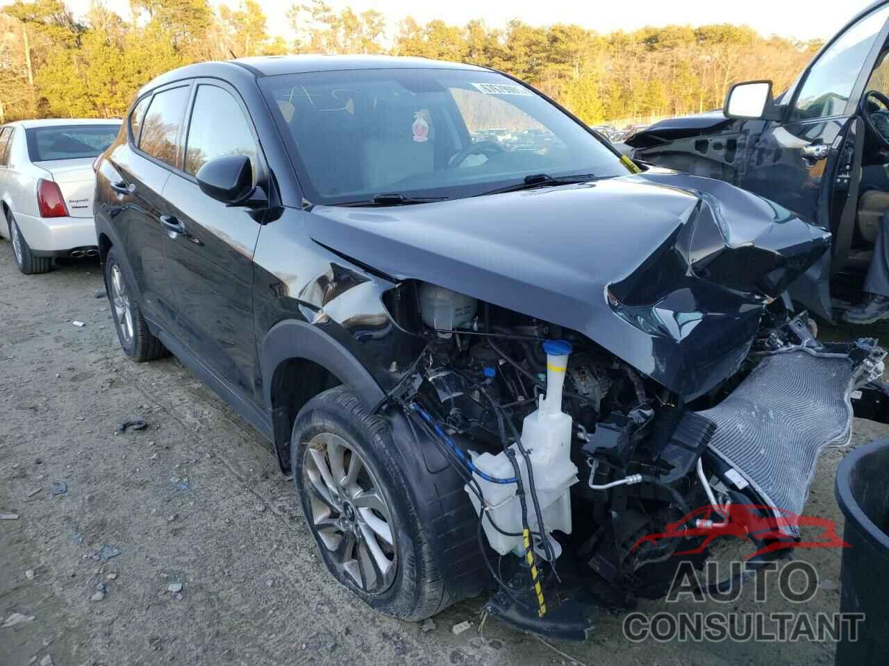 HYUNDAI TUCSON 2017 - KM8J23A40HU407639