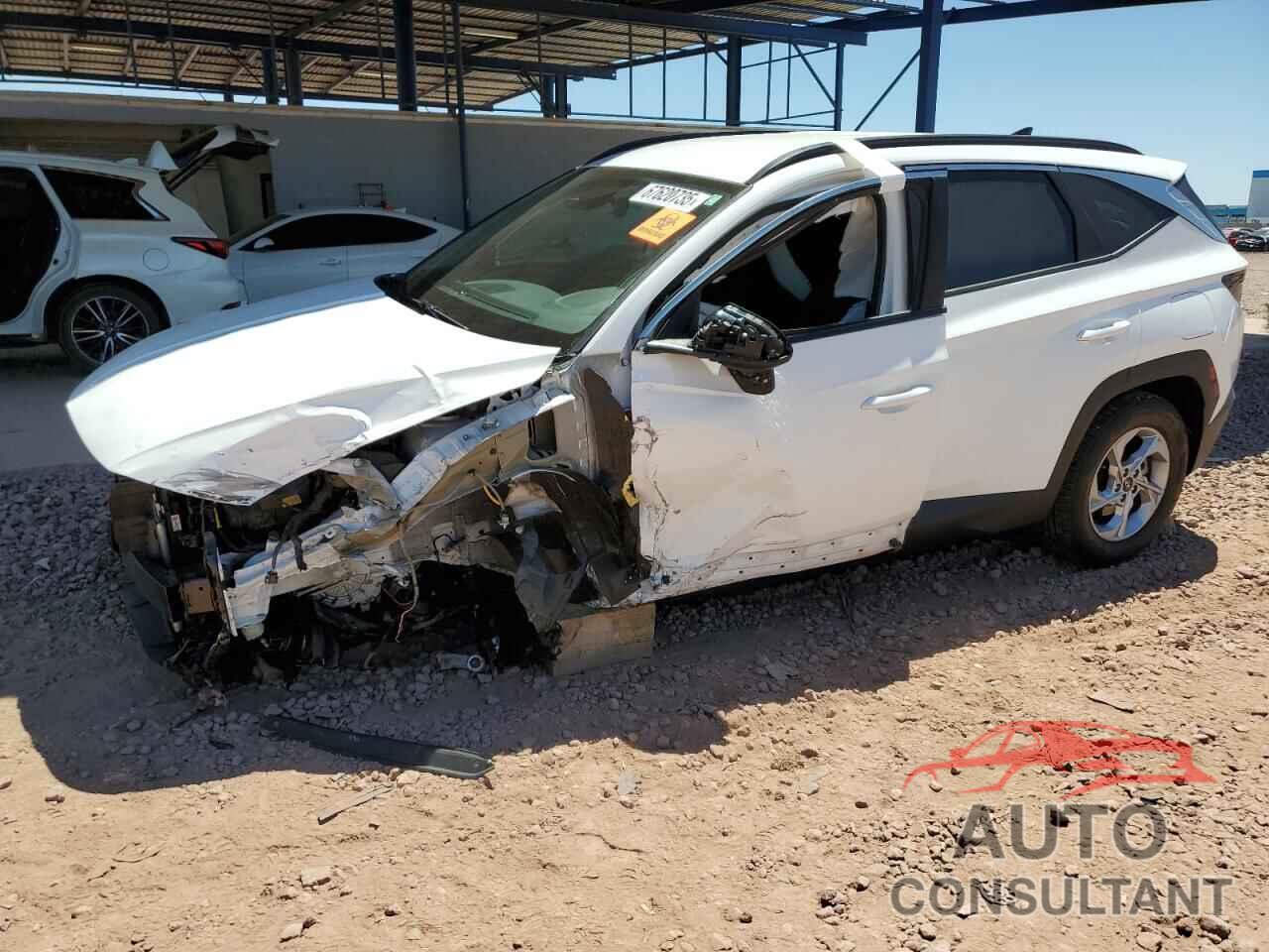 HYUNDAI TUCSON 2024 - 5NMJBCDE6RH312505