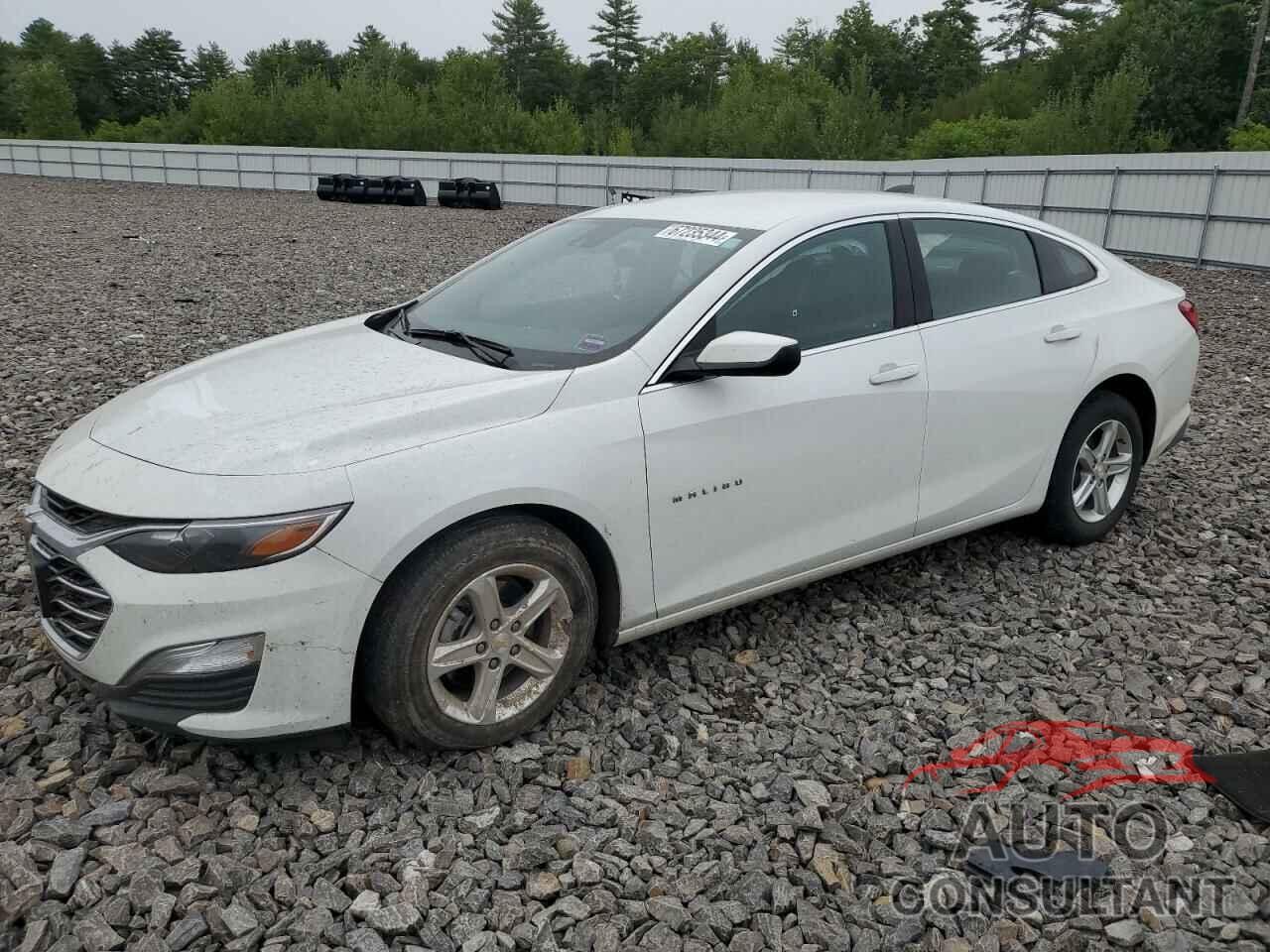 CHEVROLET MALIBU 2024 - 1G1ZB5ST5RF134592