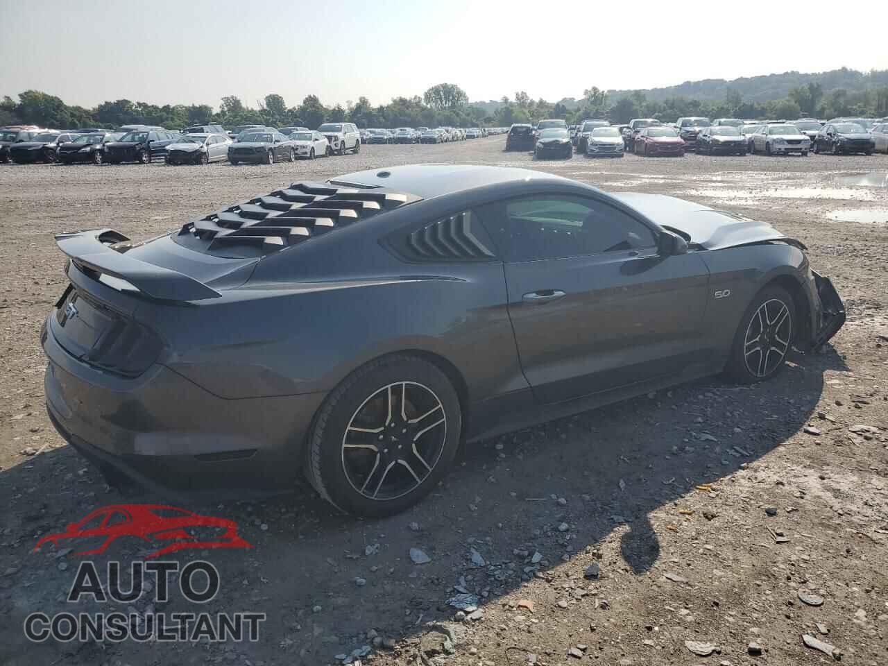 FORD MUSTANG 2019 - 1FA6P8CF7K5199676