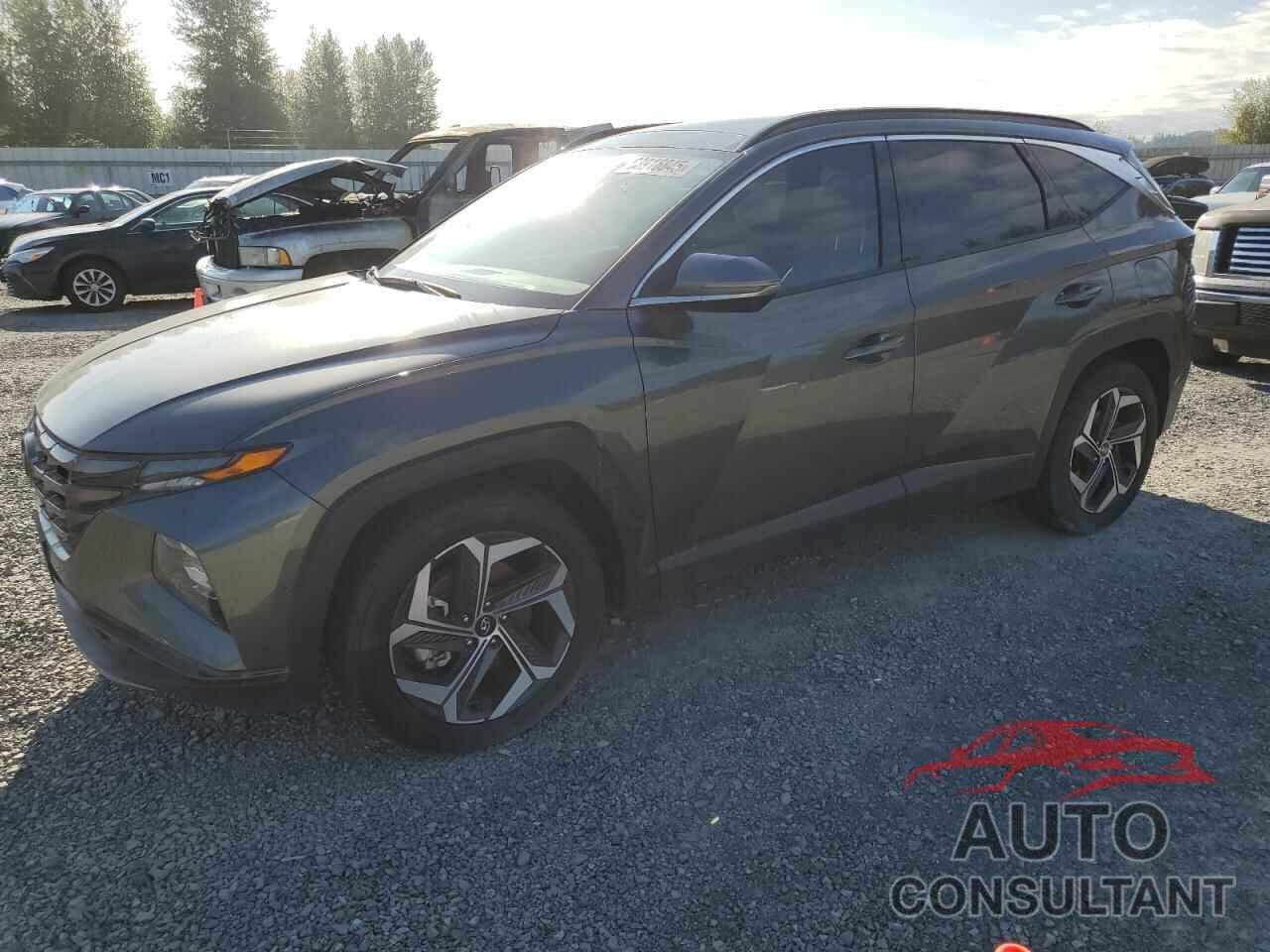 HYUNDAI TUCSON 2023 - 5NMJE3AE9PH162527