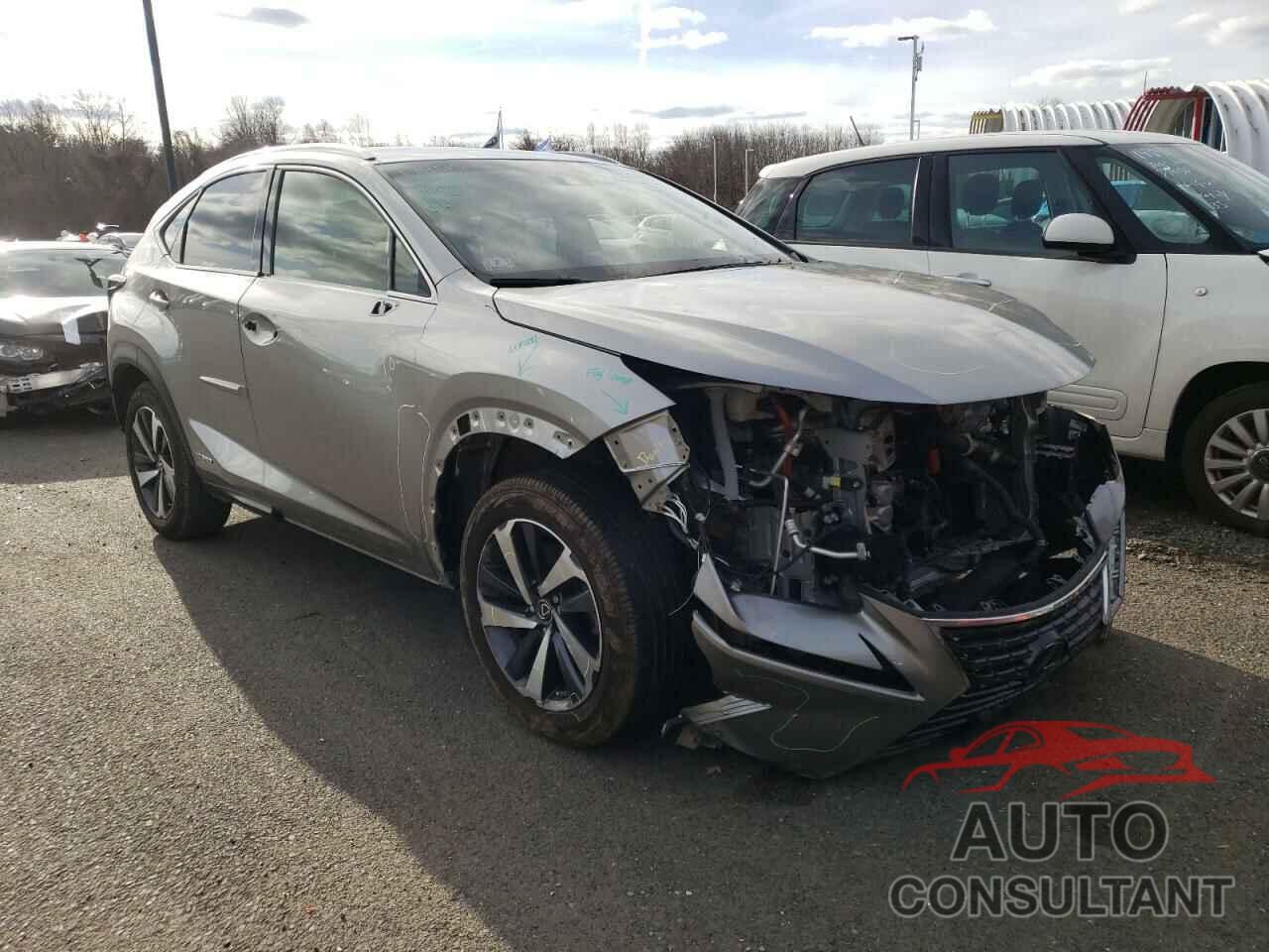 LEXUS NX 2019 - JTJBJRBZ1K2117046