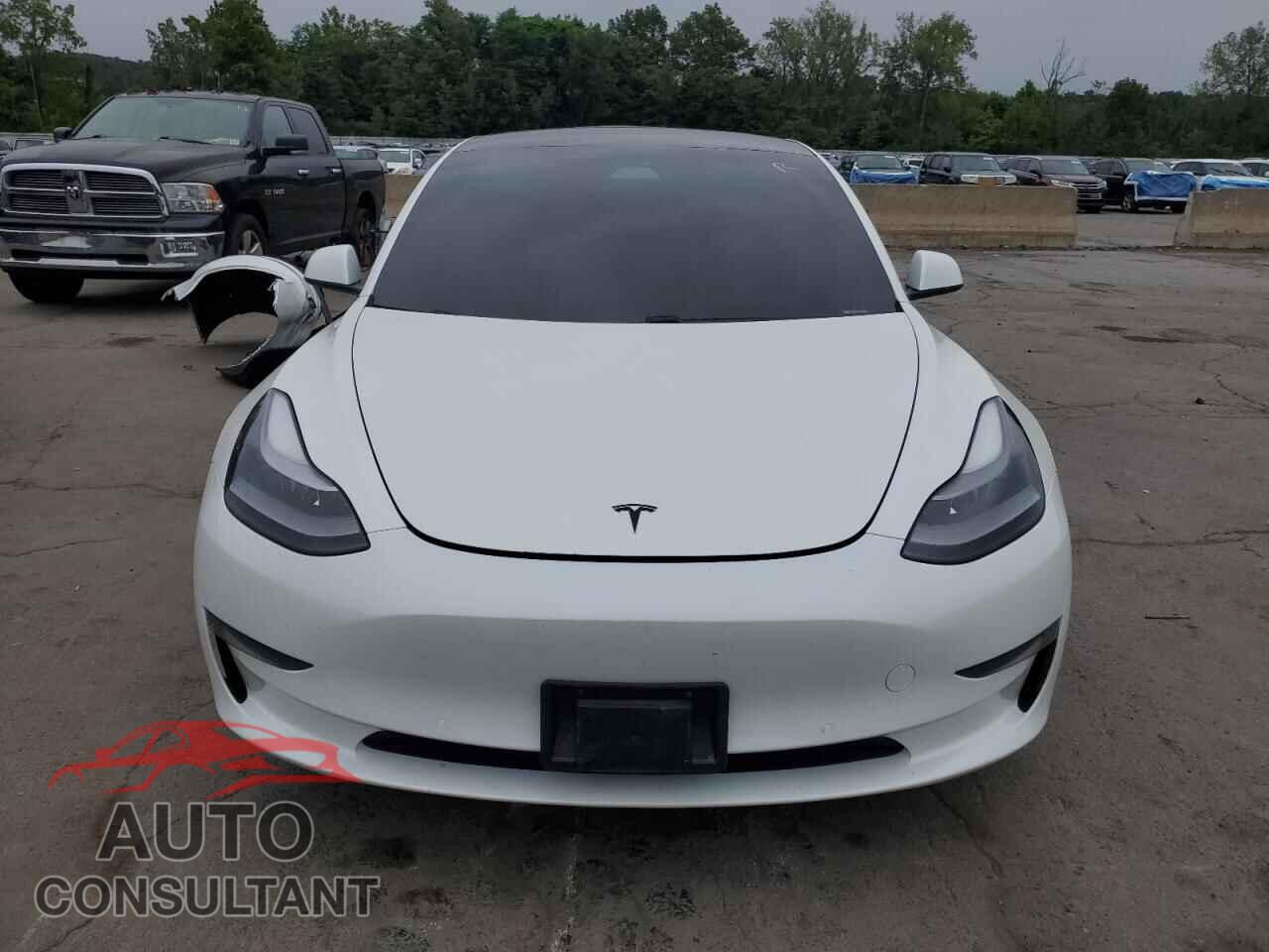TESLA MODEL 3 2021 - 5YJ3E1EA1MF969013
