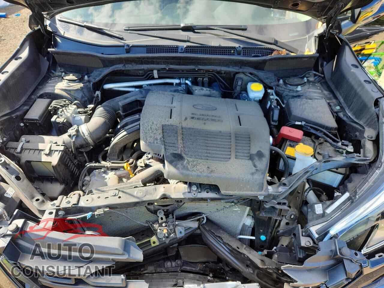 SUBARU FORESTER 2023 - JF2SKAEC5PH505833