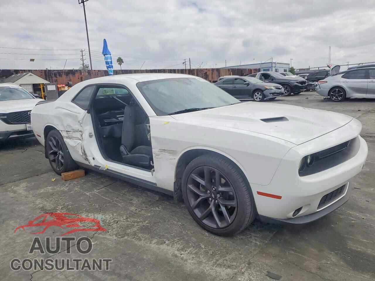 DODGE CHALLENGER 2019 - 2C3CDZAG3KH501307