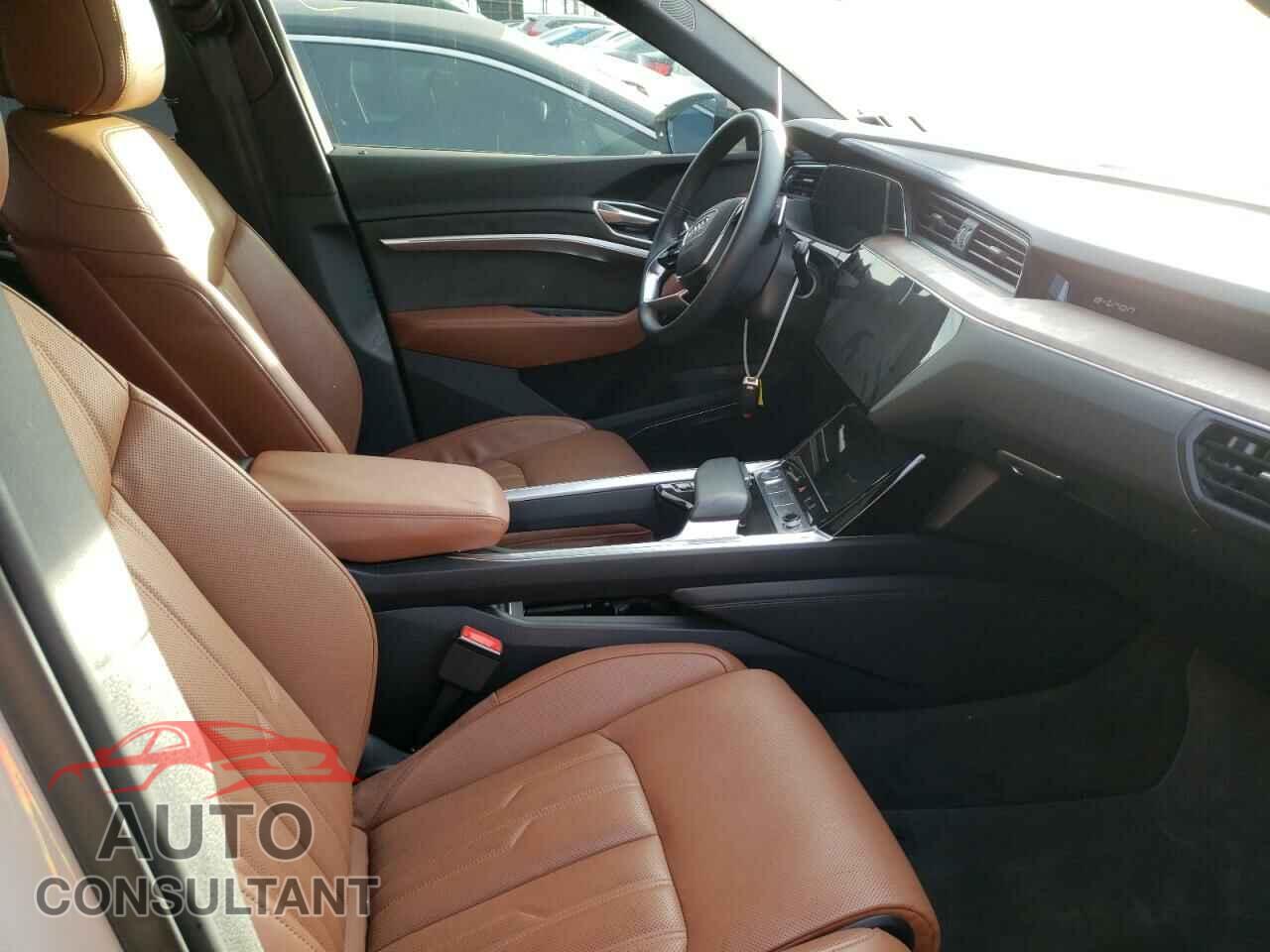 AUDI E-TRON 2019 - WA1VABGE6KB014857