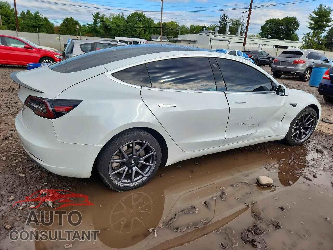 TESLA MODEL 3 2020 - 5YJ3E1EA3LF799882
