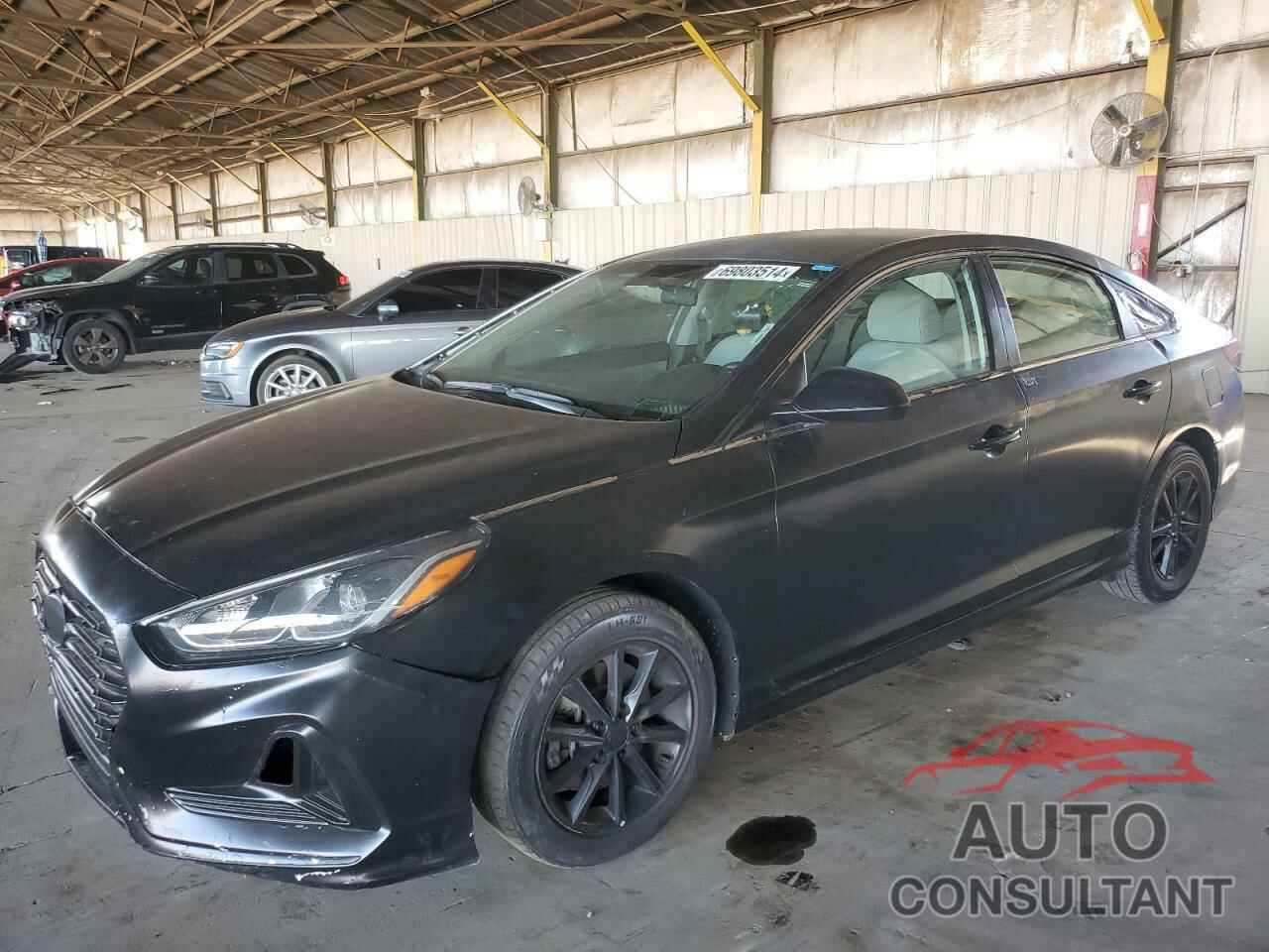 HYUNDAI SONATA 2019 - 5NPE24AF0KH786866