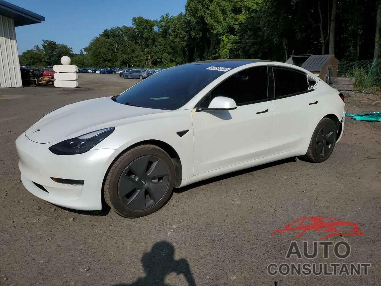 TESLA MODEL 3 2021 - 5YJ3E1EB8MF975786