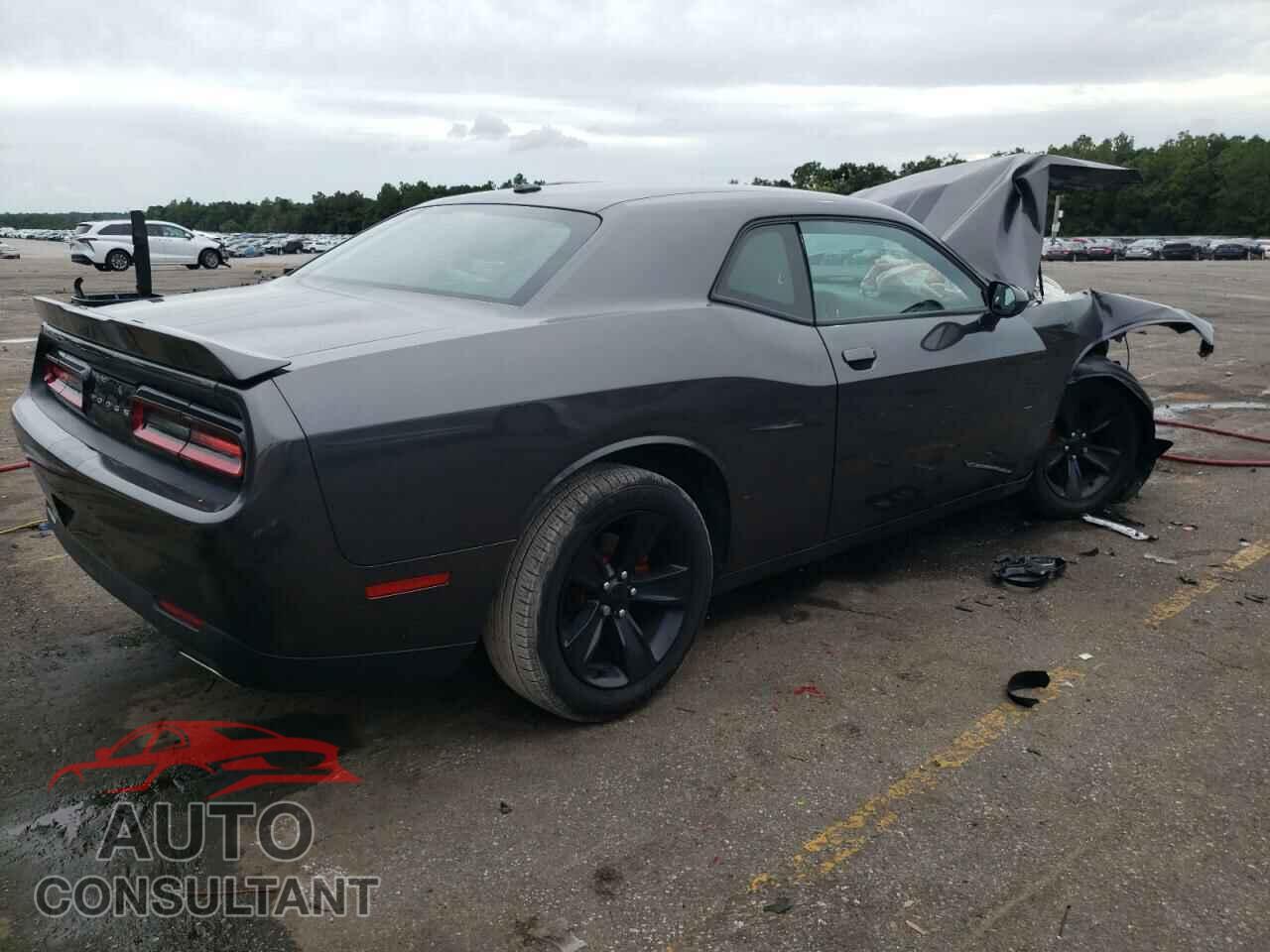 DODGE CHALLENGER 2019 - 2C3CDZAG6KH729463