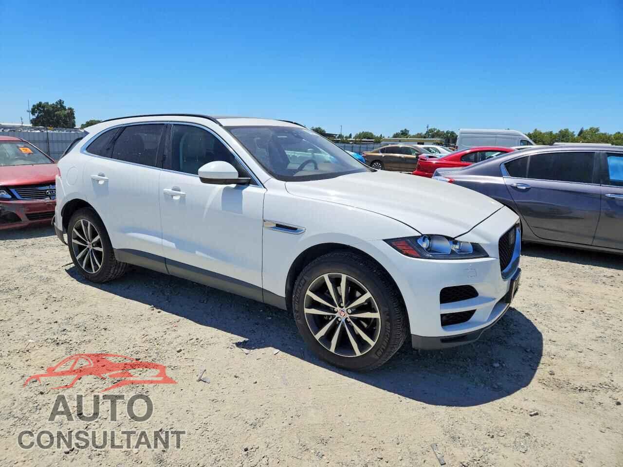 JAGUAR F-PACE 2020 - SADCK2FX5LA660285