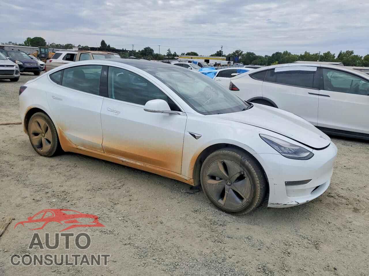 TESLA MODEL 3 2020 - 5YJ3E1EB4LF741675