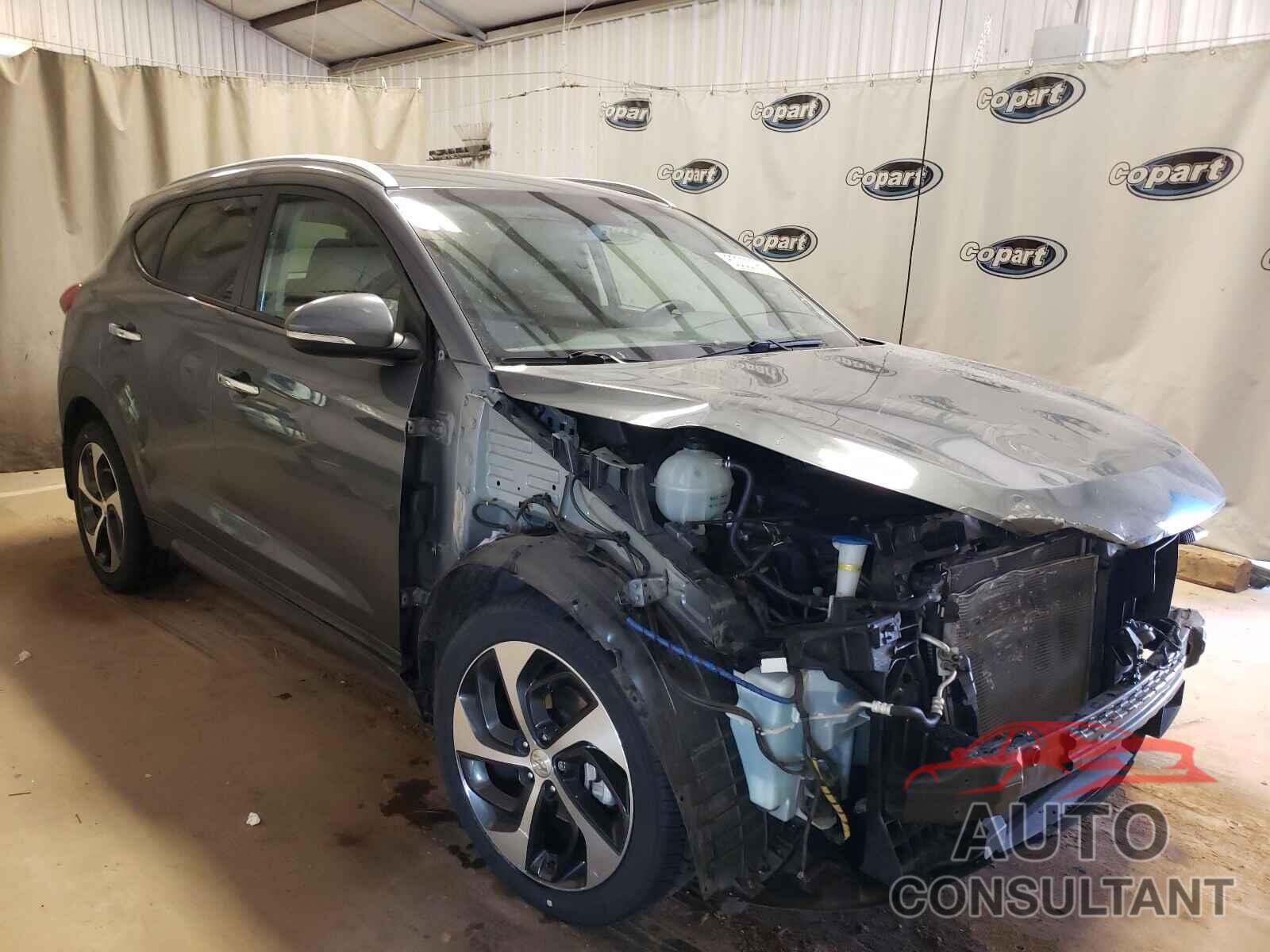 HYUNDAI TUCSON 2016 - KM8J33A24GU024460
