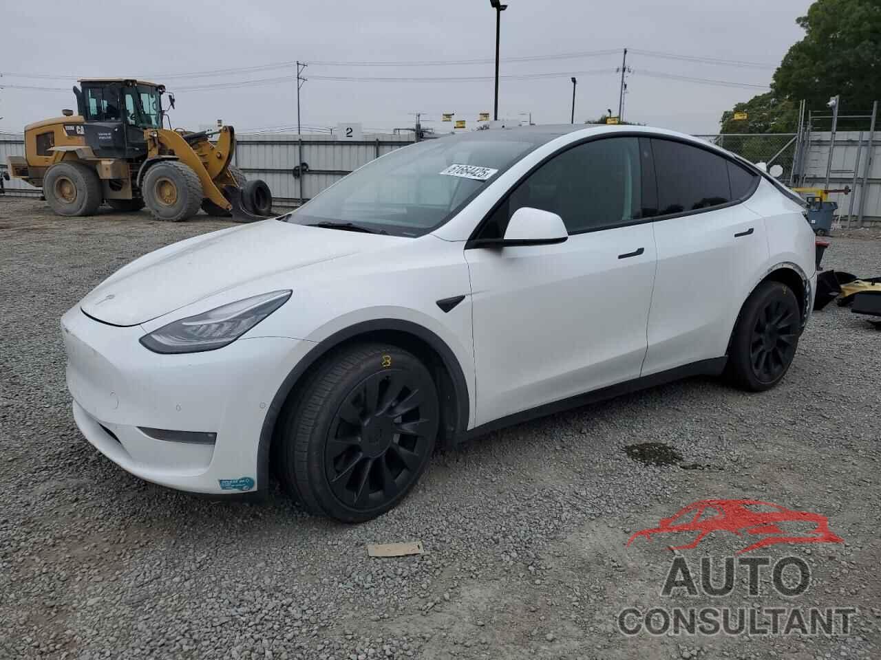 TESLA MODEL Y 2021 - 5YJYGDEEXMF219162