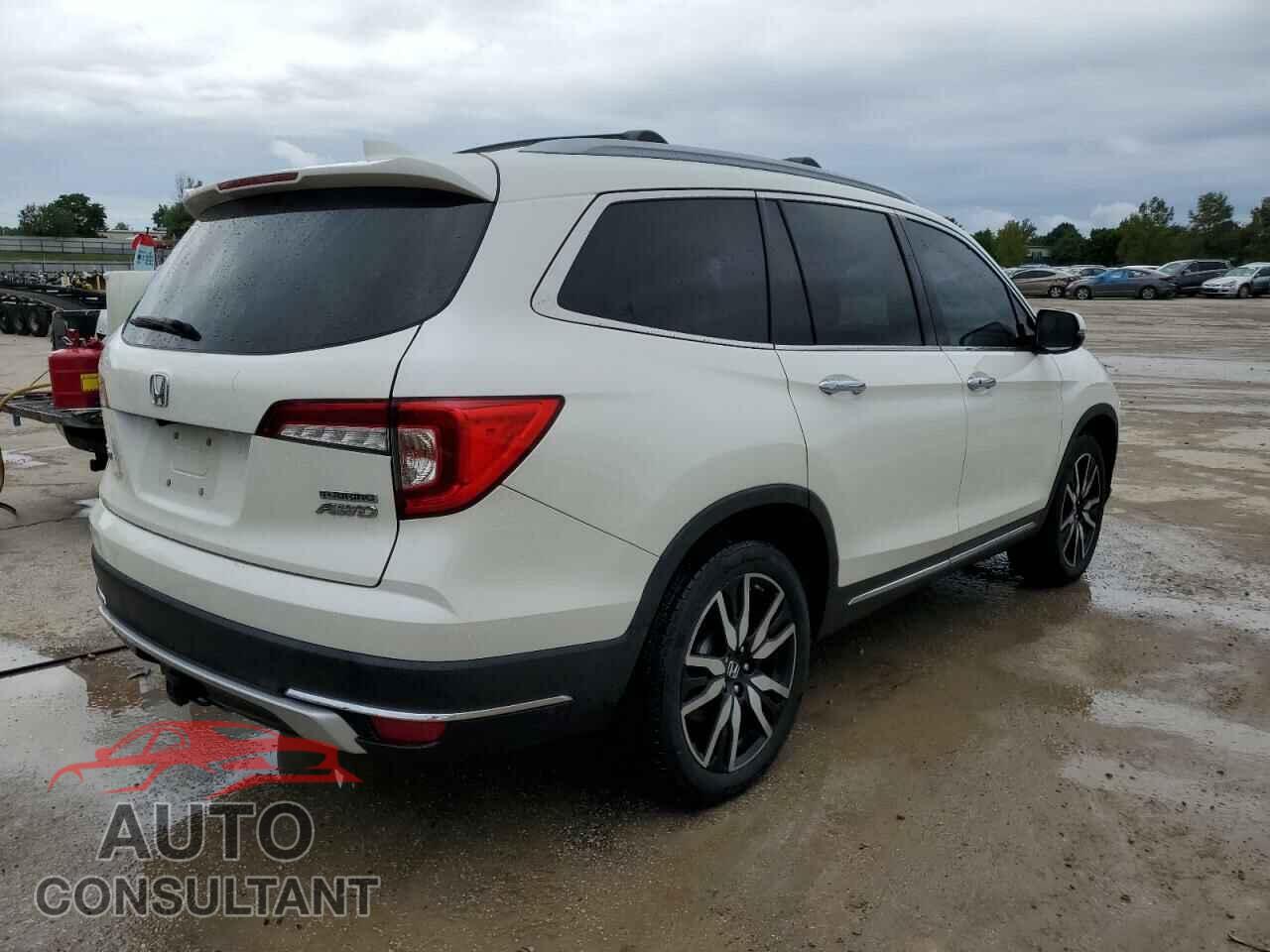 HONDA PILOT 2019 - 5FNYF6H69KB027473