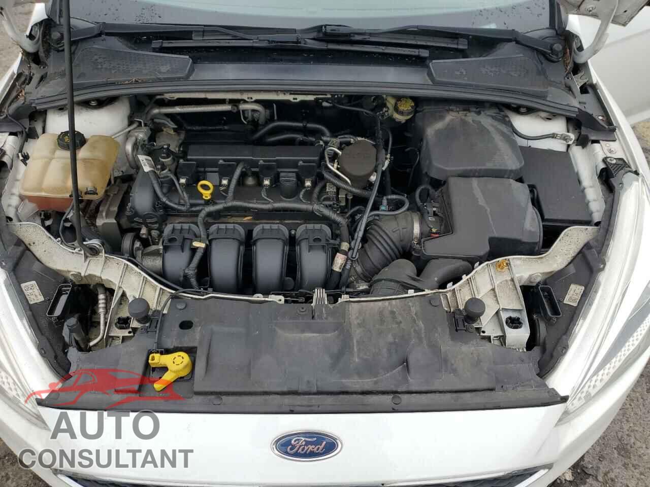 FORD FOCUS 2015 - 1FADP3F2XFL298657