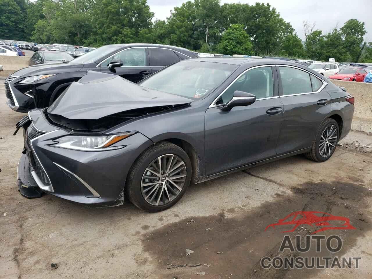 LEXUS ES250 2022 - 58AD11D1XNU009767