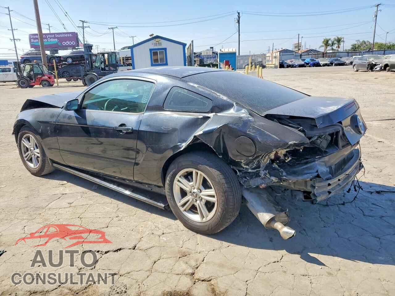 FORD MUSTANG 2014 - 1ZVBP8AM8E5316659