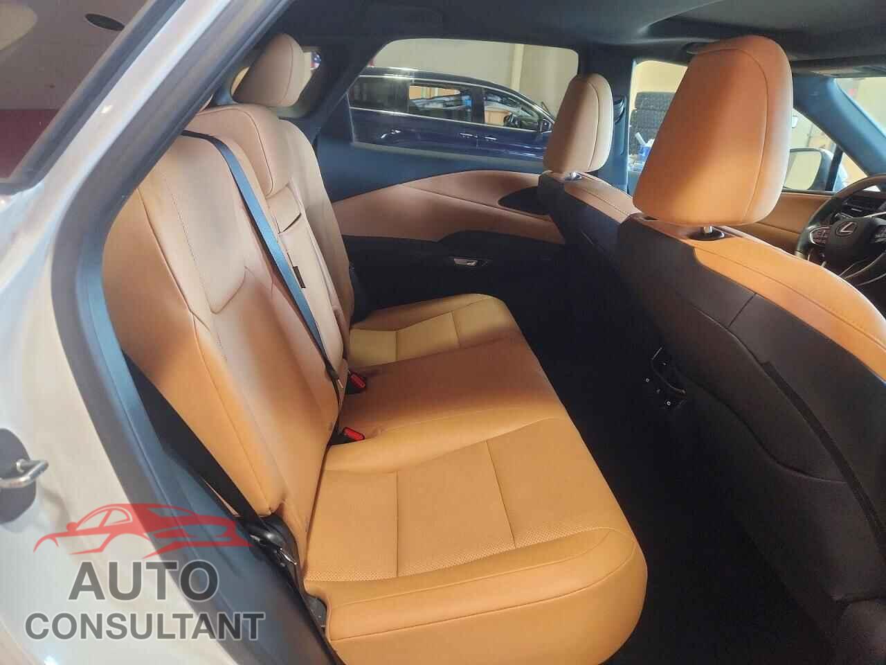 LEXUS UNKNOWN 2024 - 2T2BBMCA4RC038148