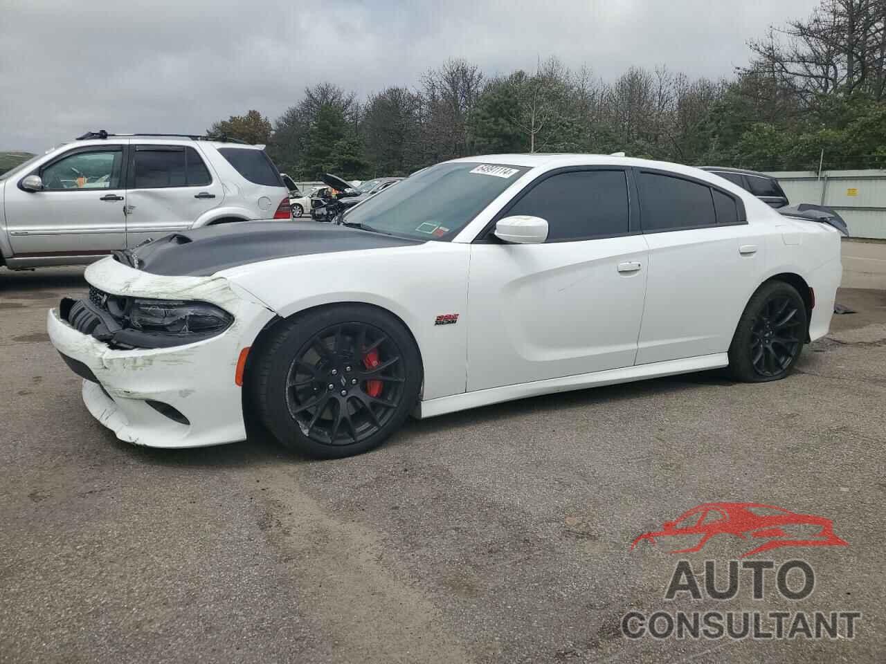 DODGE CHARGER 2019 - 2C3CDXGJ2KH591718