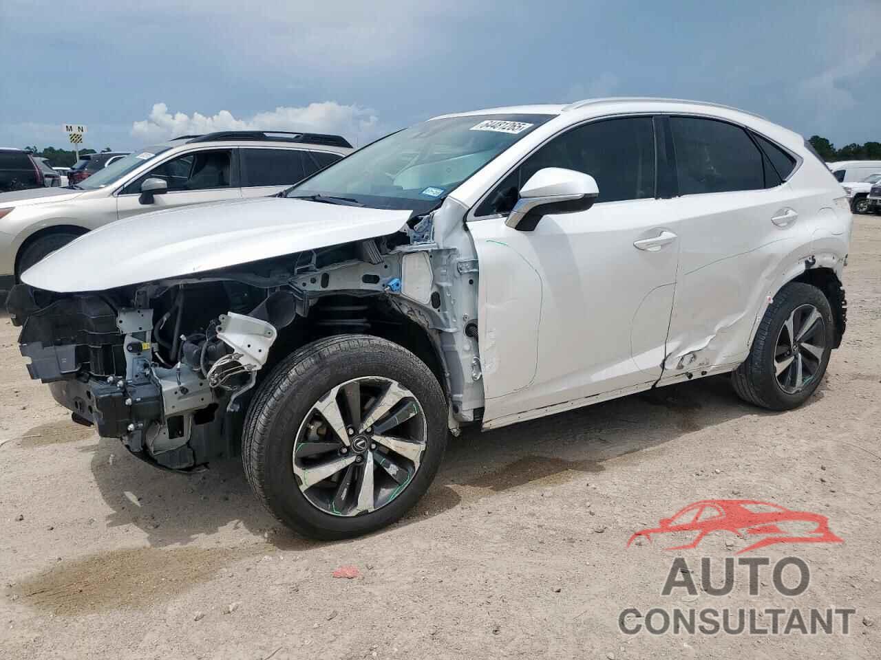 LEXUS NX 2019 - JTJYARBZ7K2132659