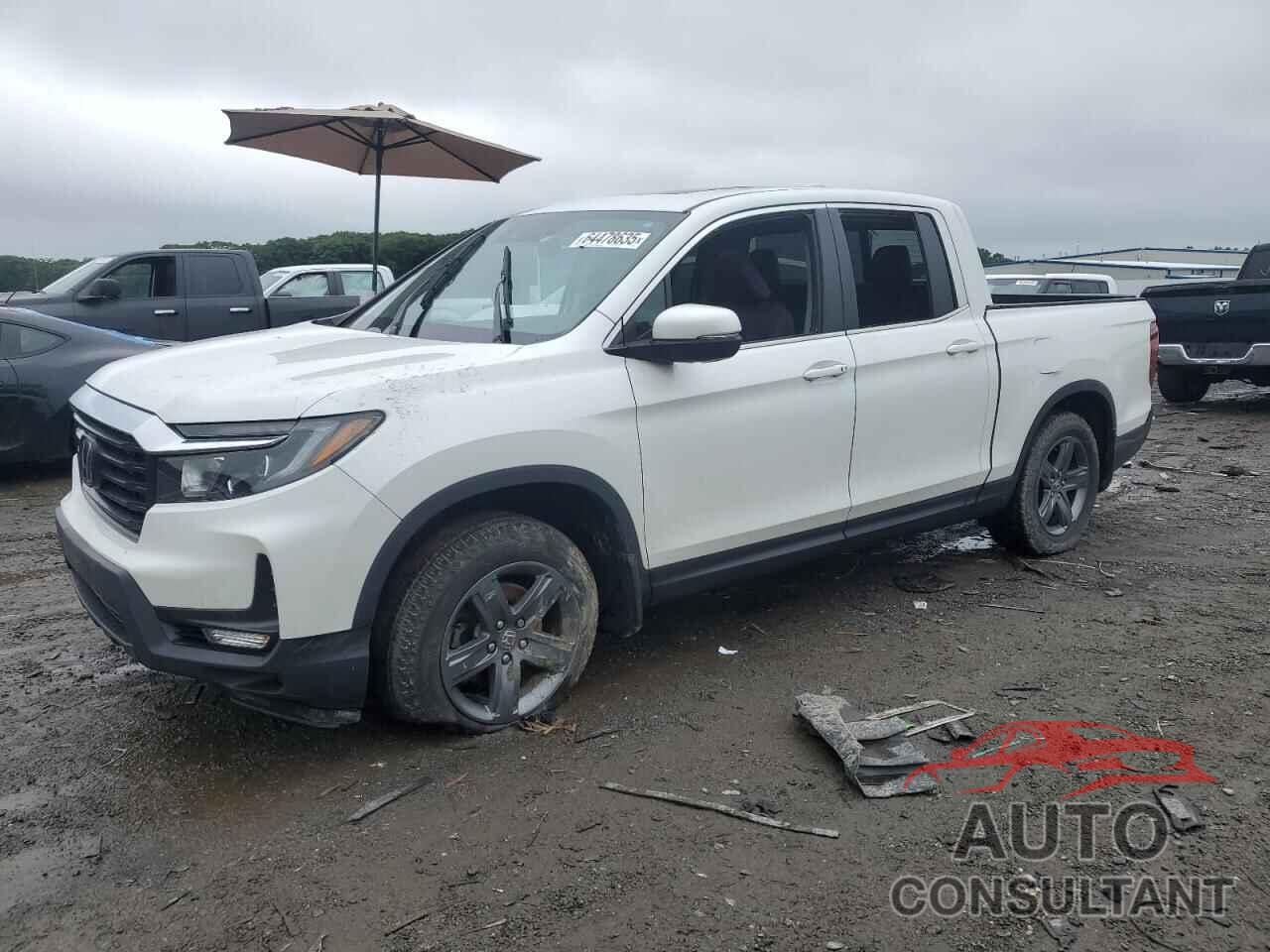 HONDA RIDGELINE 2022 - 5FPYK3F55NB025400