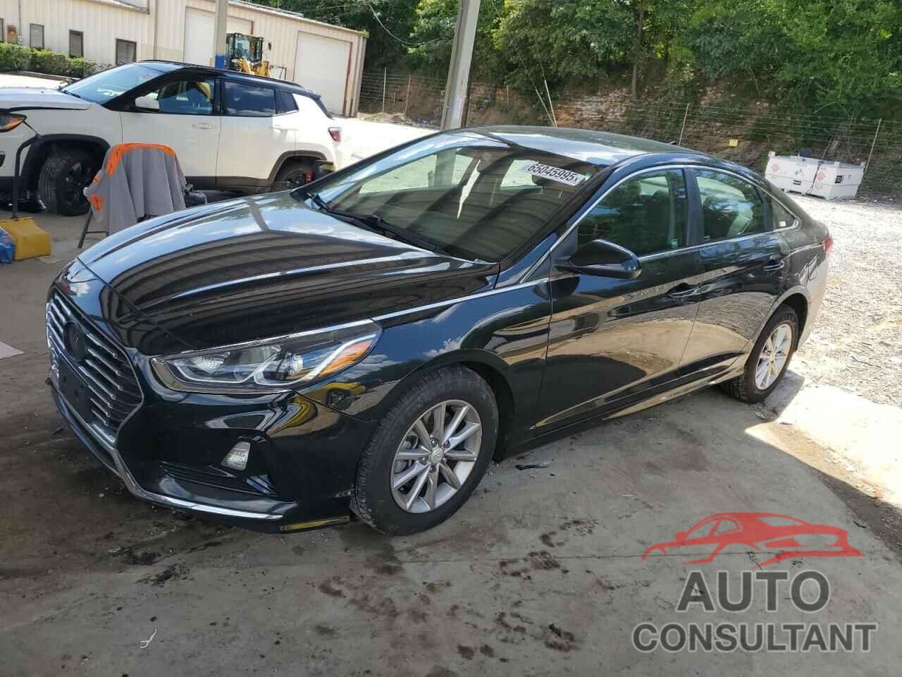 HYUNDAI SONATA 2019 - 5NPE24AF2KH736566