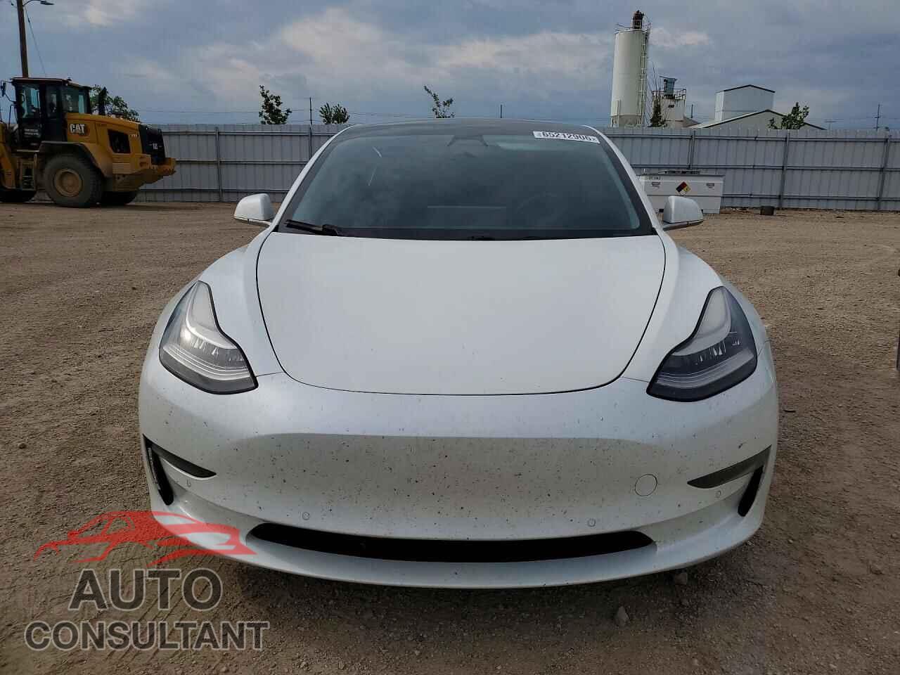 TESLA MODEL 3 2019 - 5YJ3E1EA3KF508005