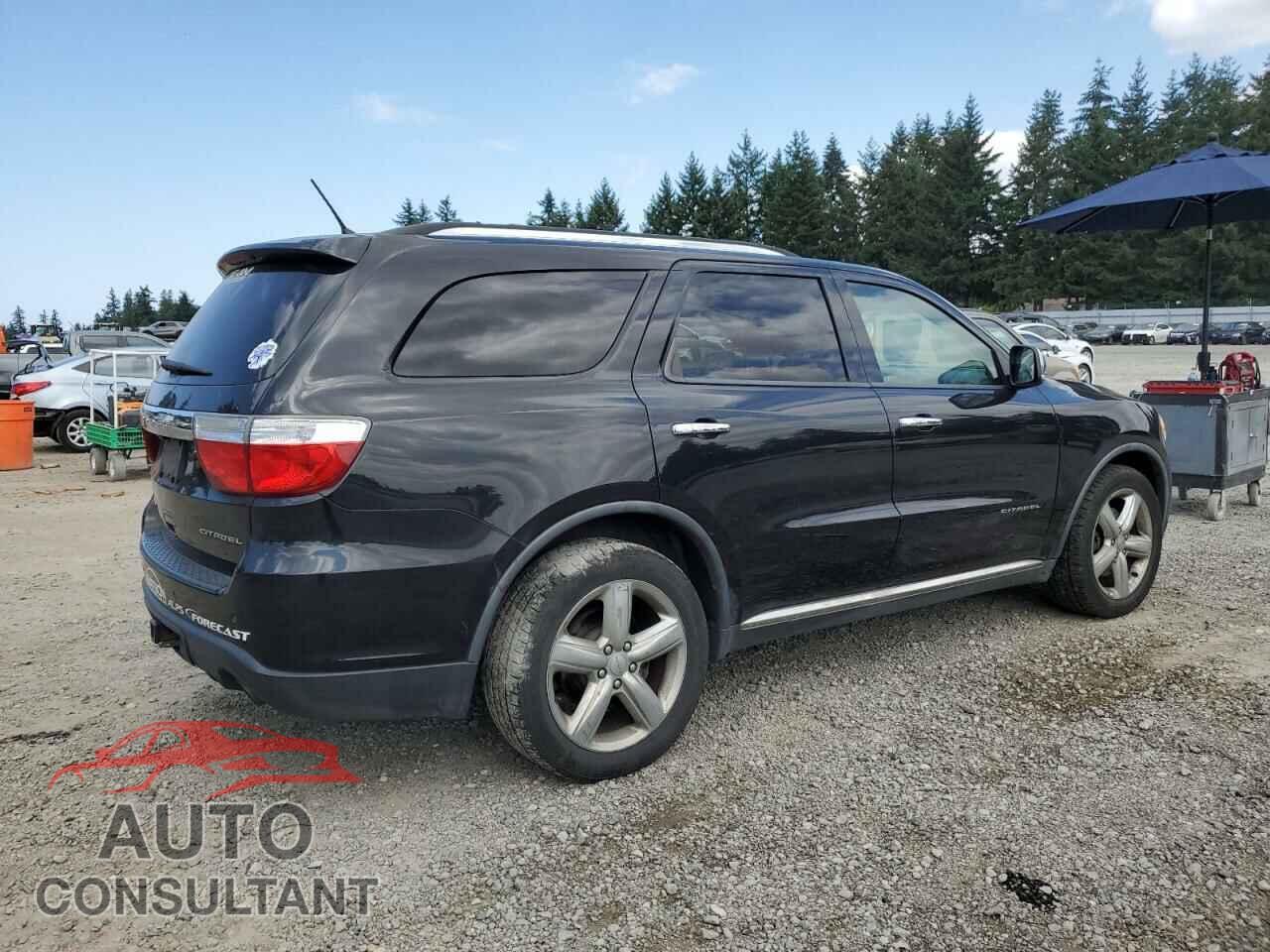 DODGE DURANGO 2011 - 1D4SE5GT9BC595393