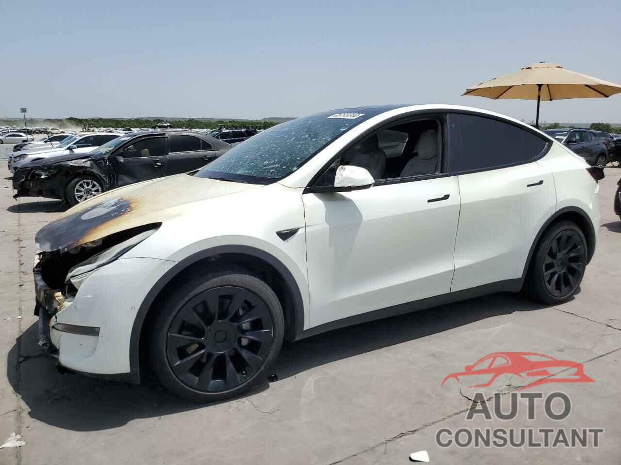 TESLA MODEL Y 2022 - 7SAYGDEE6NF355356