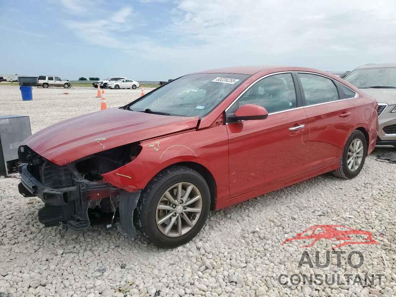 HYUNDAI SONATA 2019 - 5NPE24AF6KH783924
