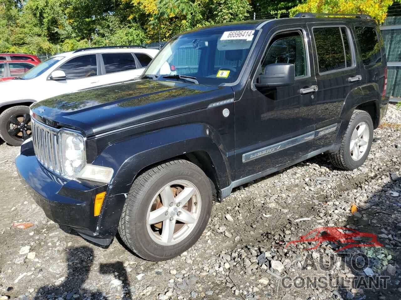 JEEP LIBERTY 2011 - 1J4PN5GK8BW562596