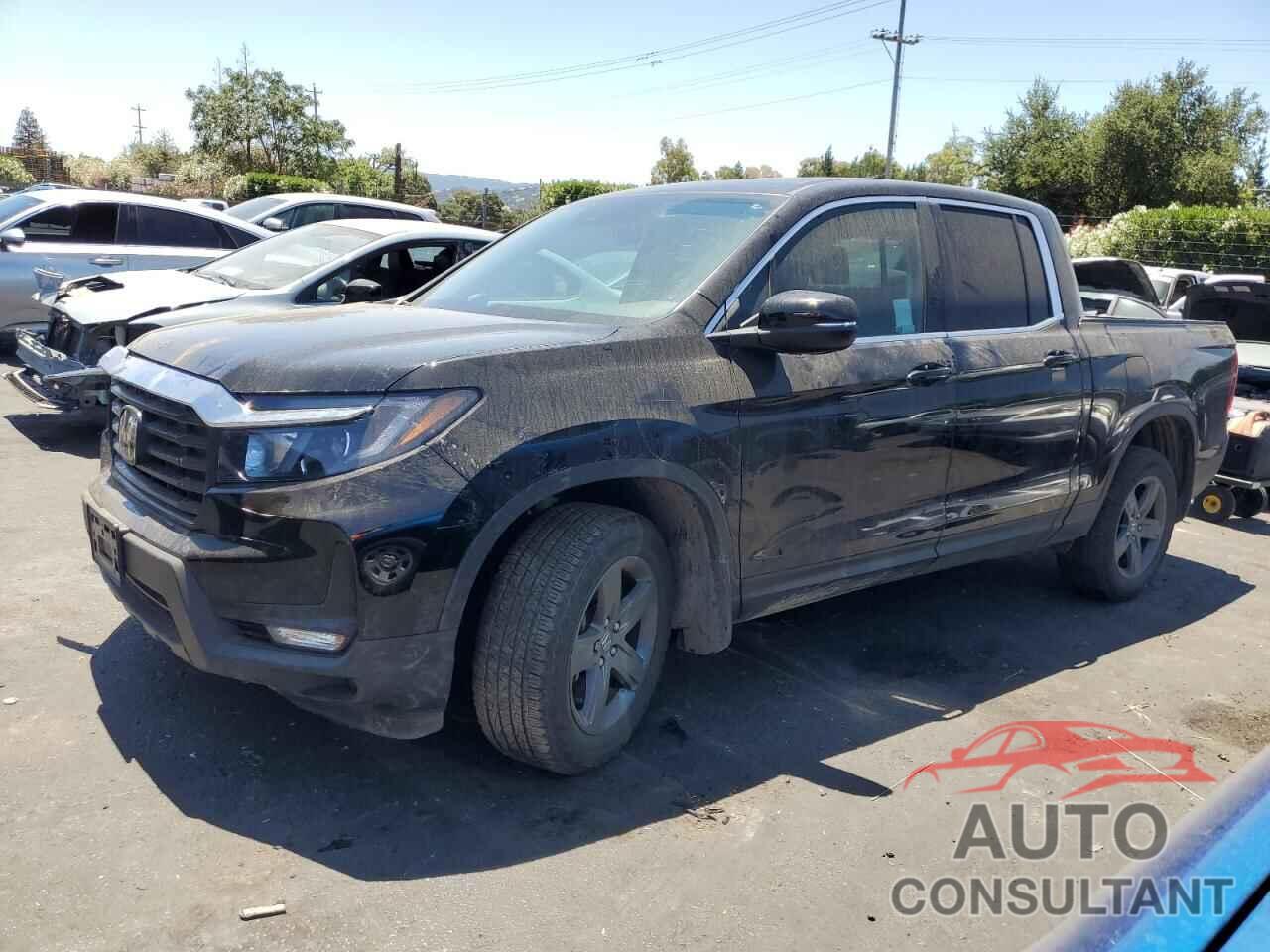 HONDA RIDGELINE 2023 - 5FPYK3F57PB028608