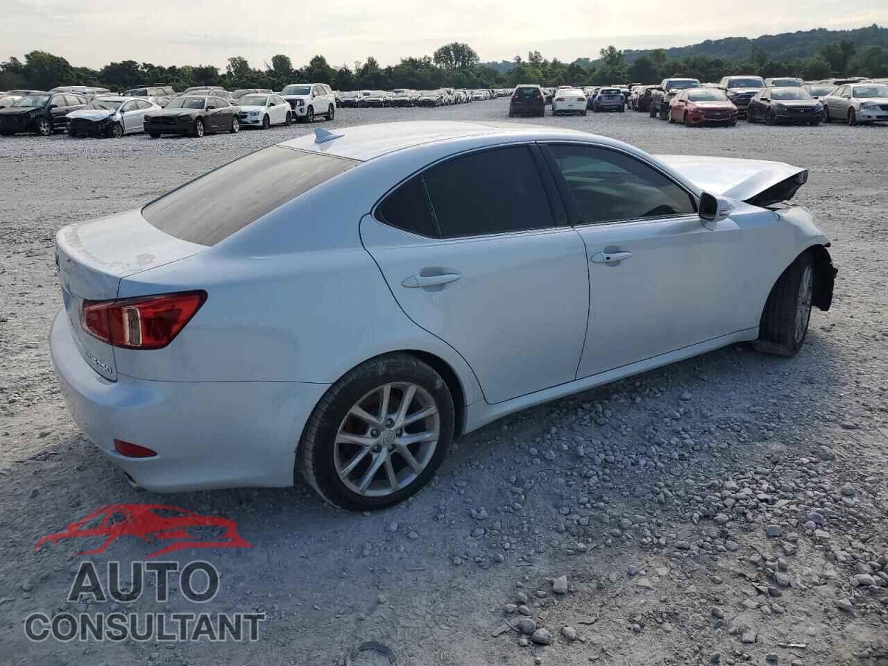 LEXUS IS 2011 - JTHCF5C2XB5045926