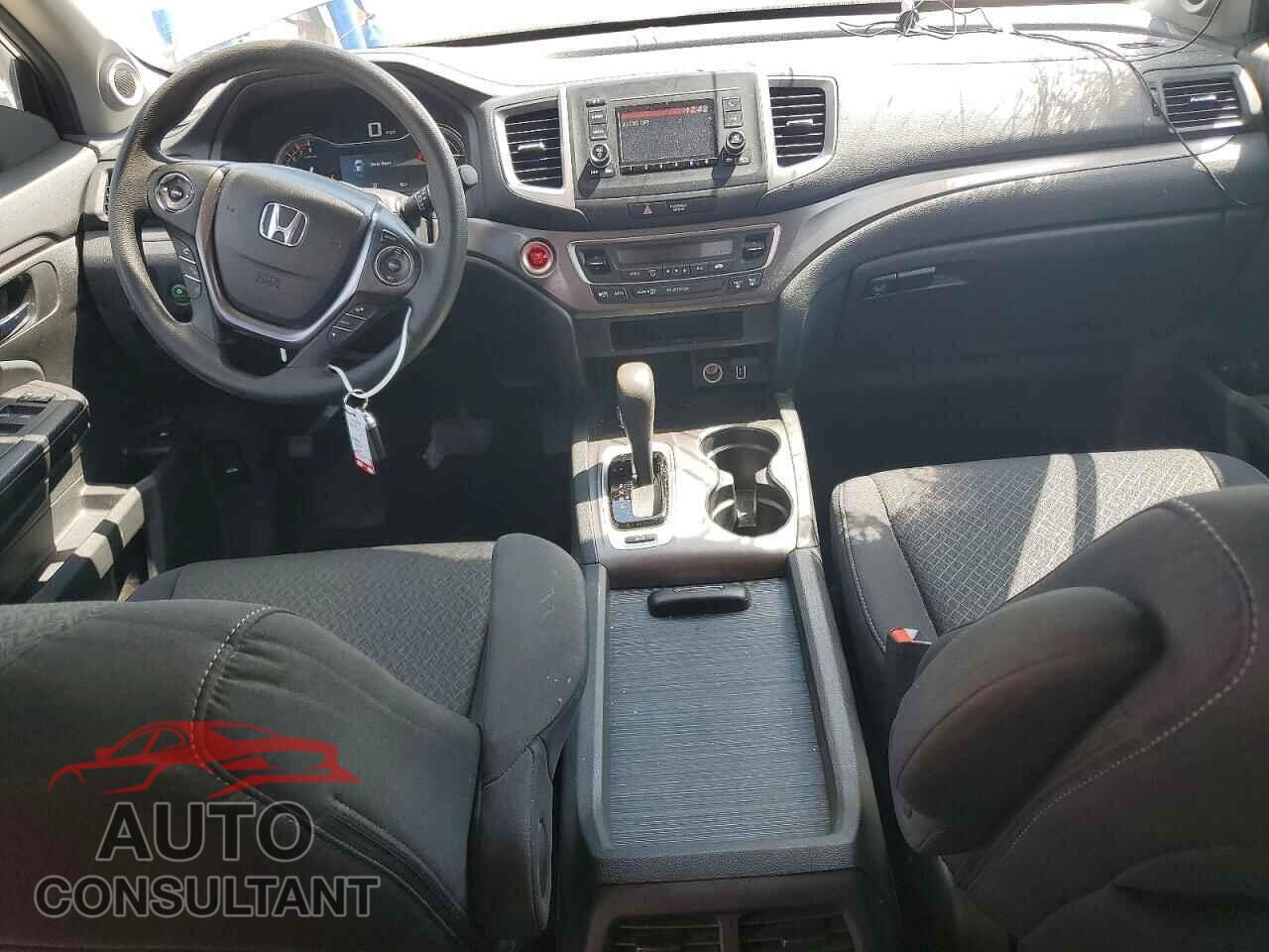 HONDA RIDGELINE 2019 - 5FPYK3F15KB040357