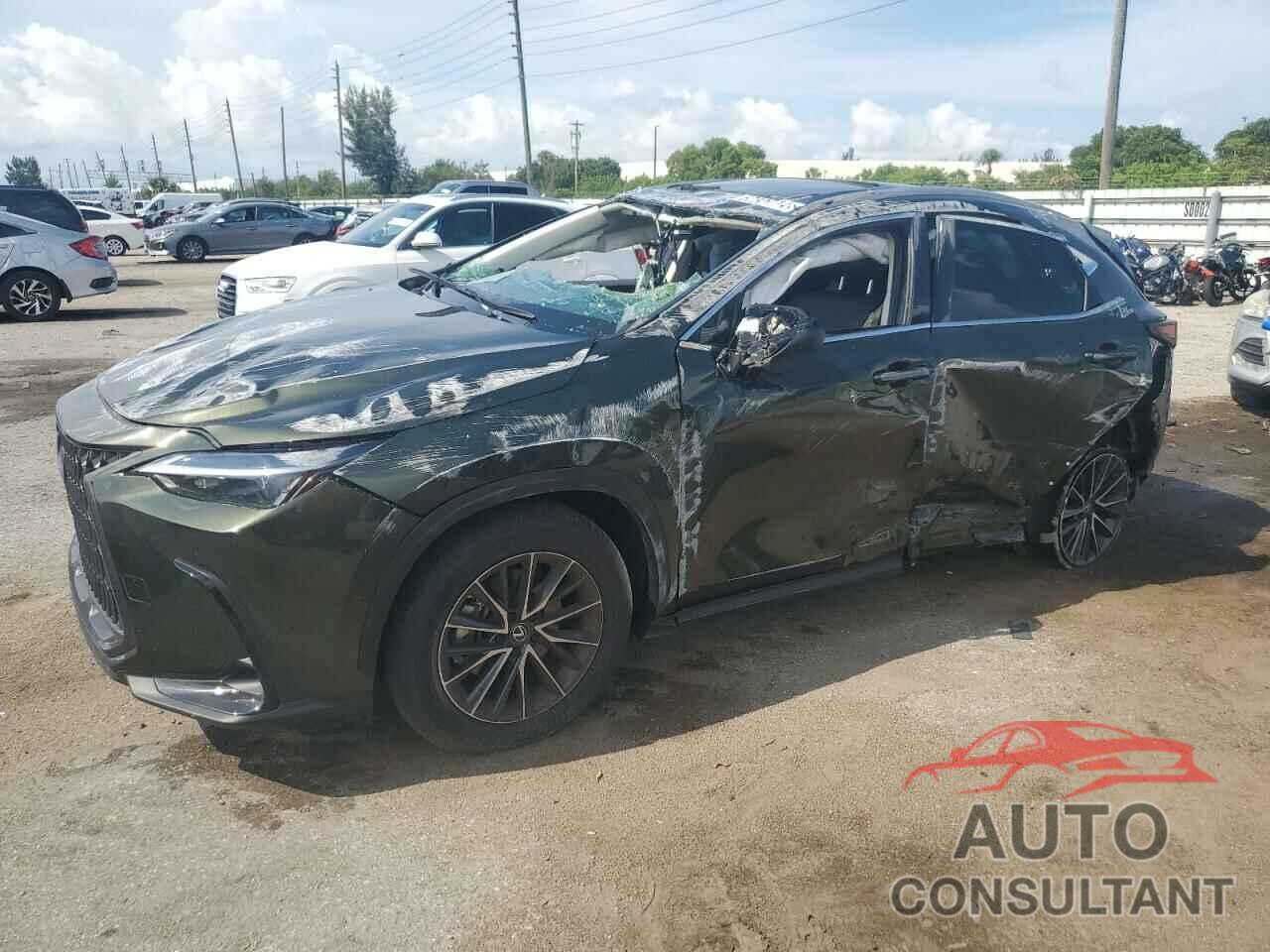 LEXUS NX 250 BAS 2024 - 2T2ADCAZ7RC013124