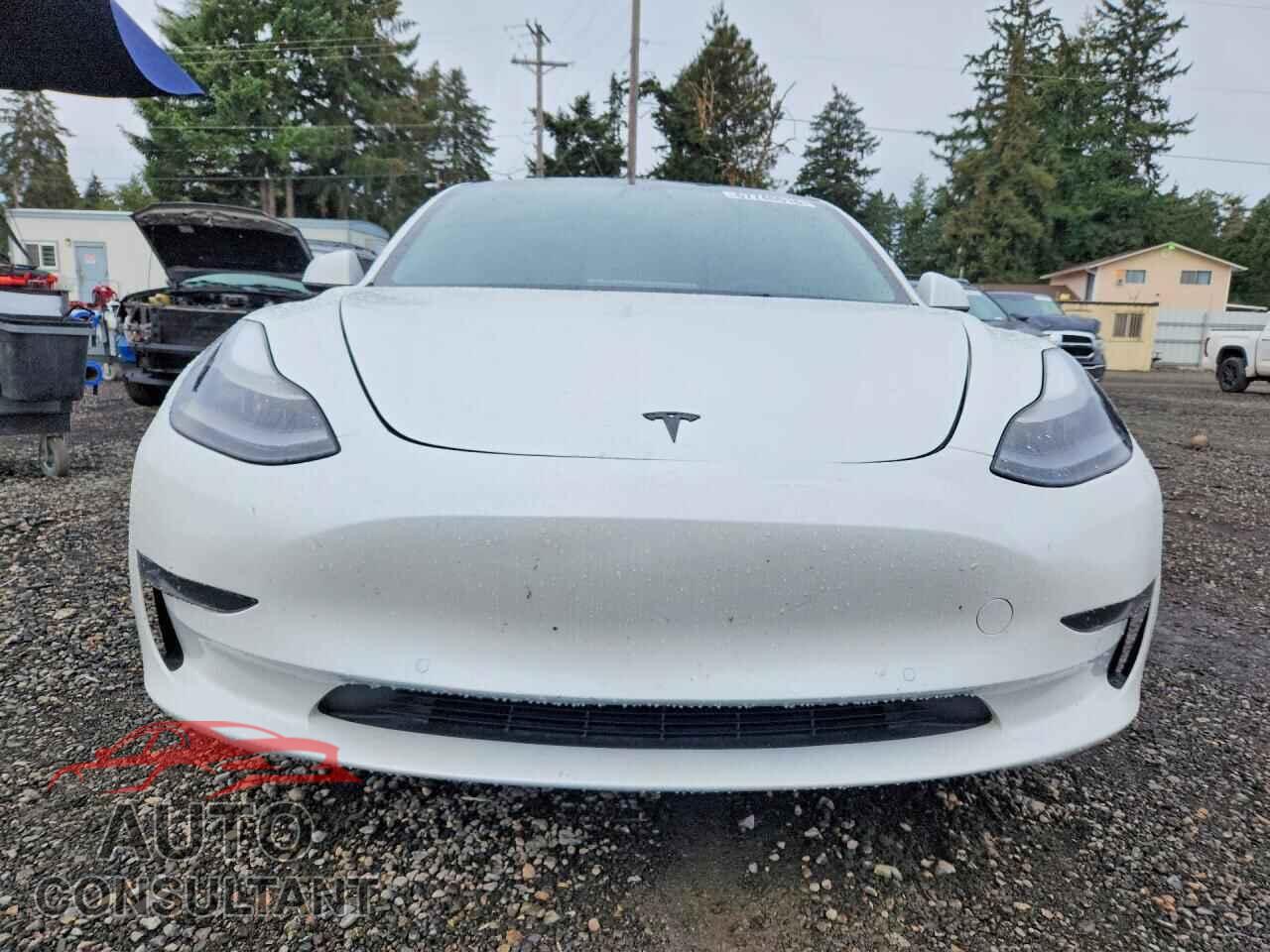 TESLA MODEL 3 2021 - 5YJ3E1EA2MF100971