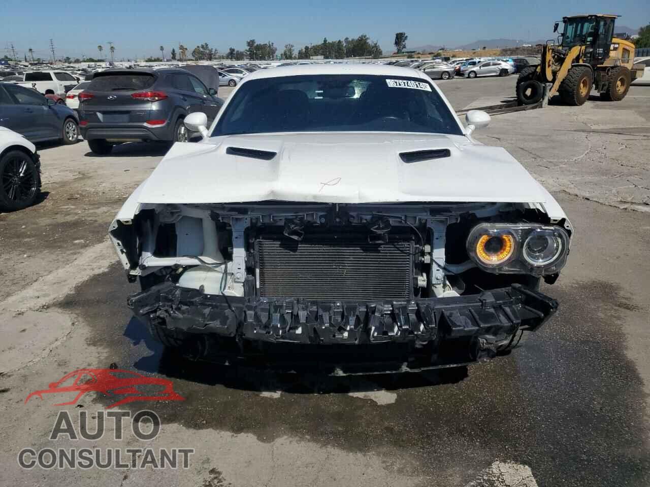 DODGE CHALLENGER 2019 - 2C3CDZAG5KH551710