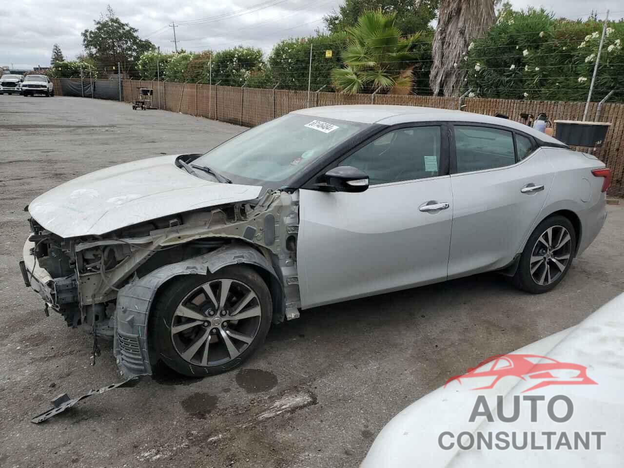 NISSAN MAXIMA 2017 - 1N4AA6AP4HC404502