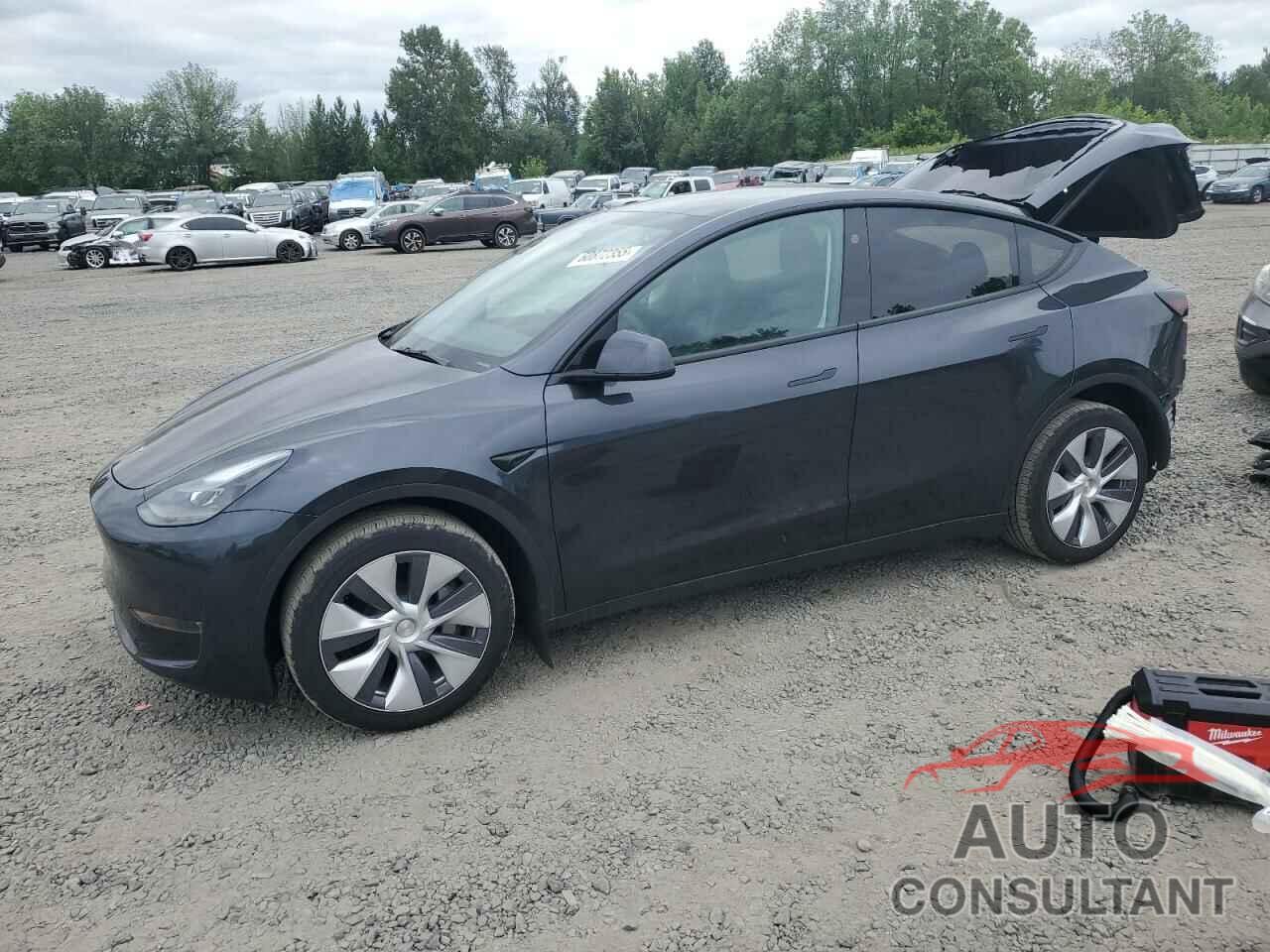 TESLA MODEL Y 2024 - 7SAYGDEEXRF071640