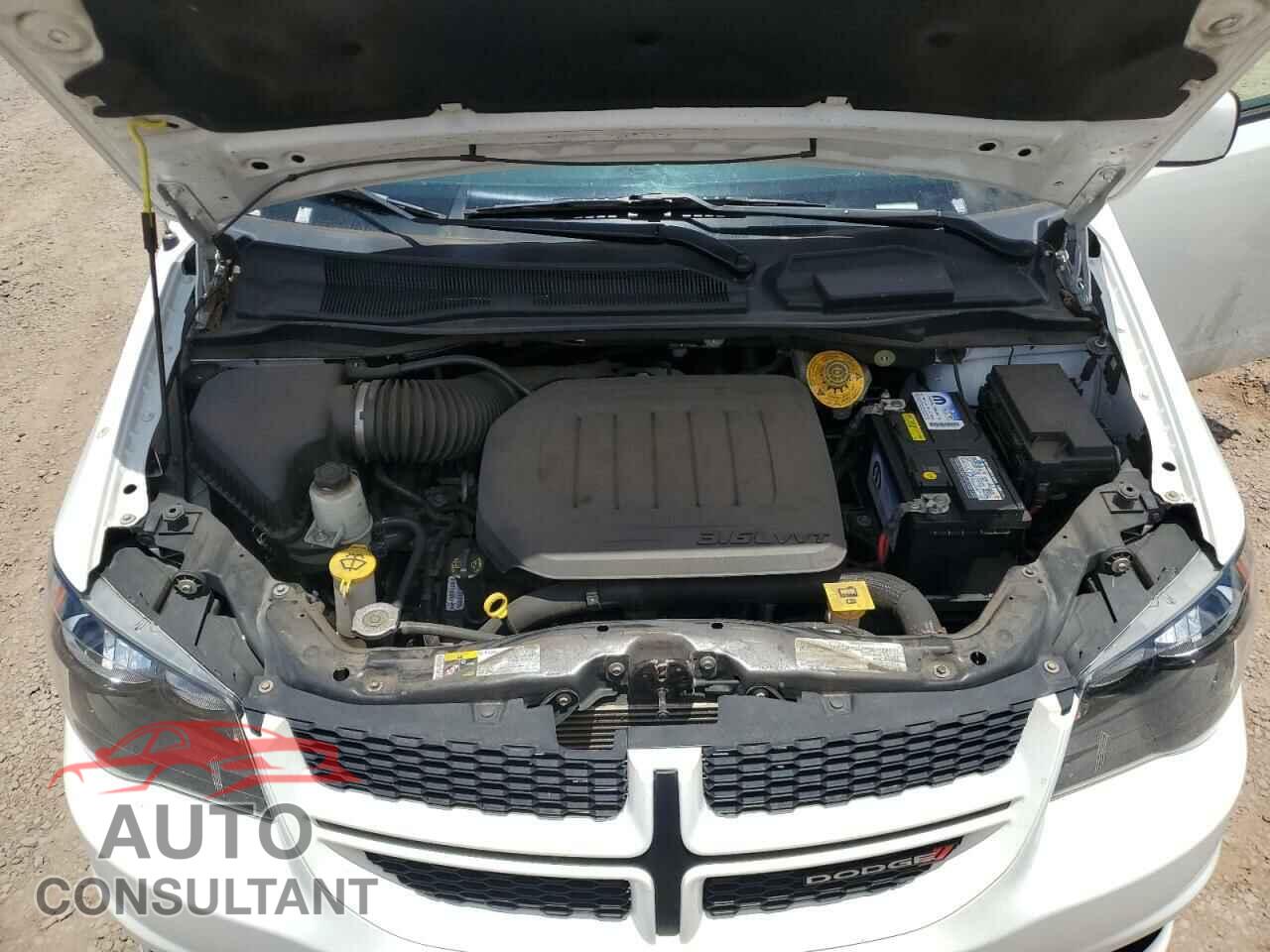 DODGE CARAVAN 2019 - 2C4RDGEG8KR770255