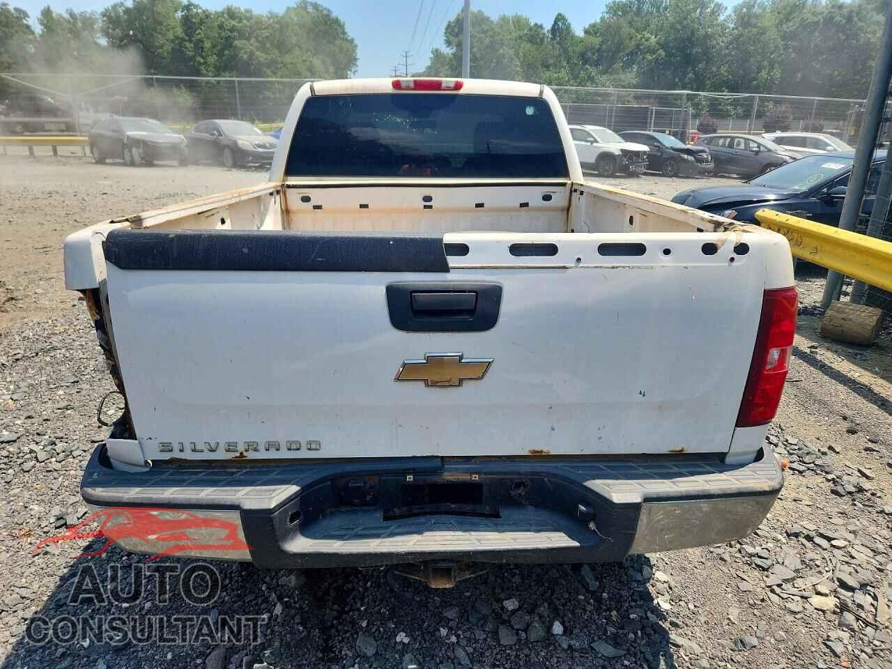 CHEVROLET SILVERADO 2009 - 1GCEK19C99Z160230