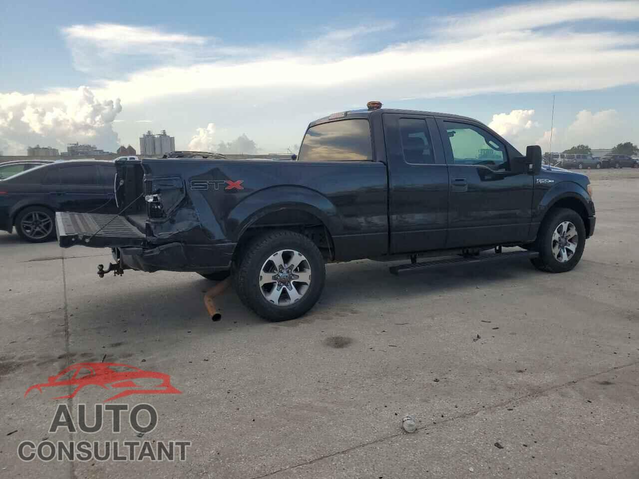 FORD F-150 2013 - 1FTFX1CF9DFD63606