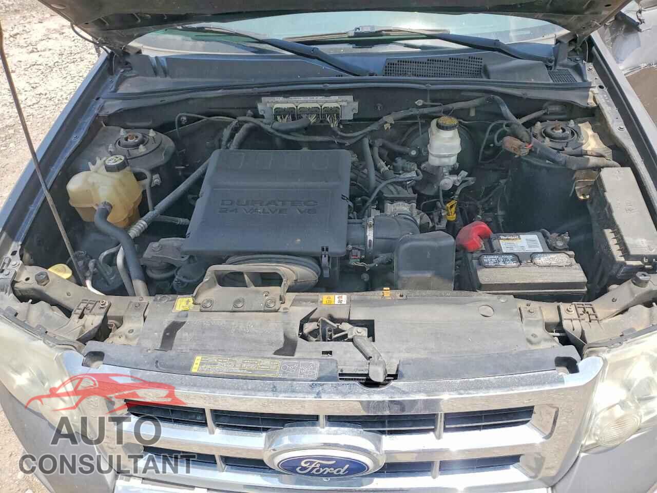 FORD ESCAPE 2010 - 1FMCU0EG9AKB52089